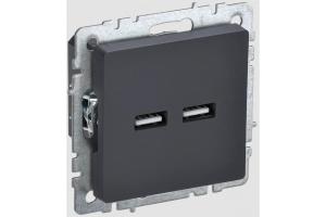 Розетка USB А+А 3,1А С/У Графит Brite