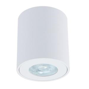 Накладной светильник Tino A1469PL-1WH Arte Lamp