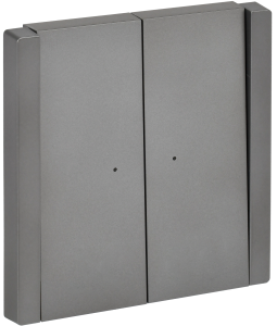 Выключатель 2-кл 10А С/У с индикатором Сталь Forte&Piano