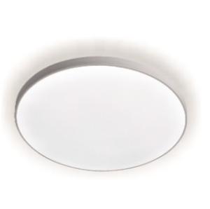 Светильник светодиодный BL  24W 5000K IP65 LE LED бел. LEEK