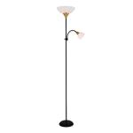 Торшер A9569PN-2BK Arte Lamp