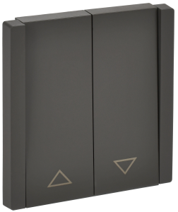 Выключатель 2-кл 10А С/У для жалюзи Серый Forte&Piano