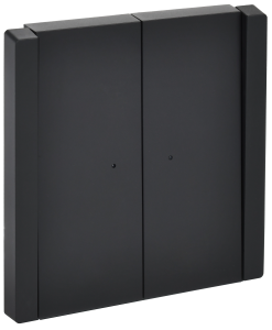 Выключатель 2-кл 10А С/У с индикатором Черный Forte&Piano