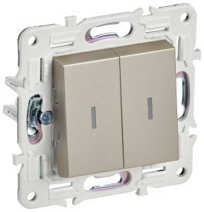 Переключатель 2-кл 10А C/У проходной с индикатором Шампань Skandy
