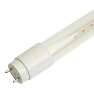 Лампа сд для растений T8LB-7063 G13  11W красно-синий спектр Feron