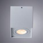 Накладной светильник A5544PL-1WH Arte Lamp