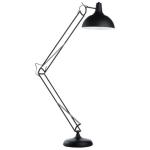 Торшер A2487PN-1BK Arte Lamp