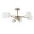 Потолочная люстра A2703PL-6SG Arte Lamp Потолочная люстра A2703PL-6SG Arte Lamp
