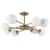 Потолочная люстра A2703PL-8SG Arte Lamp Потолочная люстра A2703PL-8SG Arte Lamp