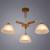 Потолочная люстра A5032PL-3BR Arte Lamp Потолочная люстра A5032PL-3BR Arte Lamp