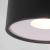 Потолочный светильник Light 35141/H 12W 4000K черный Elektrostandard Потолочный светильник Light 35141/H 12W 4000K черный Elektrostandard