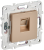 Розетка RJ45 кат.6 С/У Песочный Skandy Розетка RJ45 кат.6 С/У Песочный Skandy