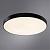 Потолочный светильник Arena A2673PL-1BK Arte Lamp