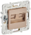Розетка RJ45+RJ45 кат.5Е С/У Песочный Skandy Розетка RJ45+RJ45 кат.5Е С/У Песочный Skandy
