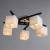 Потолочная люстра A8165PL-5BK Arte Lamp Потолочная люстра A8165PL-5BK Arte Lamp