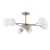 Потолочная люстра A2703PL-6SG Arte Lamp Потолочная люстра A2703PL-6SG Arte Lamp