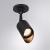 Потолочный светильник A1022AL-1BK Arte Lamp Потолочный светильник A1022AL-1BK Arte Lamp
