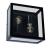 Потолочный светильник A4569PF-2BK Arte Lamp Потолочный светильник A4569PF-2BK Arte Lamp