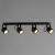 Спот A1311PL-4BK Arte Lamp Спот A1311PL-4BK Arte Lamp