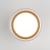 Потолочный светильник Light 35140/H 15W 4000K черный Elektrostandard
