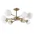 Потолочная люстра A2703PL-8SG Arte Lamp Потолочная люстра A2703PL-8SG Arte Lamp
