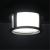 Потолочный светильник Ulysses A6206PF-1BK Arte Lamp Потолочный светильник Ulysses A6206PF-1BK Arte Lamp