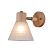 Настенный светильник Meleph A4096AP-1BR Arte Lamp