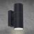 Фасадный светильник A3302AL-2BK Arte Lamp Фасадный светильник A3302AL-2BK Arte Lamp