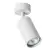 Спот A3216PL-1GY Arte Lamp Спот A3216PL-1GY Arte Lamp