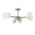 Потолочная люстра A2703PL-6SG Arte Lamp Потолочная люстра A2703PL-6SG Arte Lamp