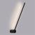 Декоративная подсветка A2027AP-1BK Arte Lamp Декоративная подсветка A2027AP-1BK Arte Lamp