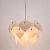 Подвесная люстра Palmer A5695SP-5WH Arte Lamp