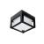 Потолочный светильник Ulysses A6406PF-1BK Arte Lamp Потолочный светильник Ulysses A6406PF-1BK Arte Lamp