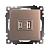 Розетка USB 2-м 250B 2,1A С/У Шампань Катрин