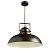 Подвесной светильник Martin A5213SP-1BR Arte Lamp